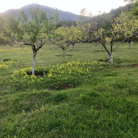 Sunhill's Farm Konukevi *
