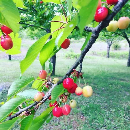 Sunhill's Farm *